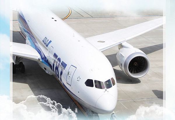 ana plane head.jpg