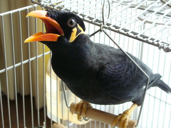 kyuukan-cho.jpg