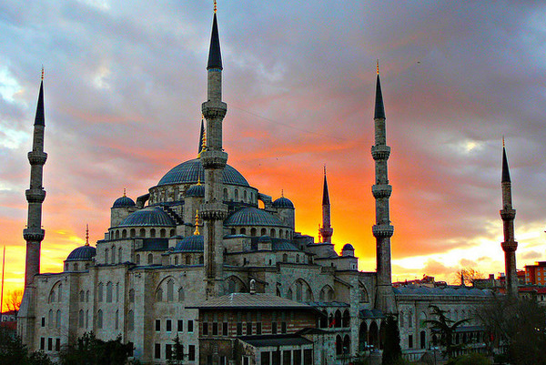 turkey1.jpg