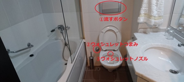 turkey toilet.jpg